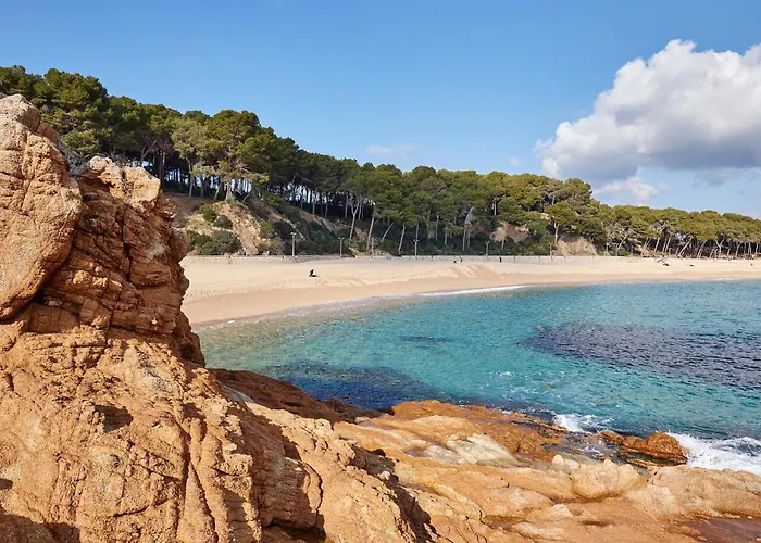 Lejlighed My Alva Park - 50m From The Lloret de Mar