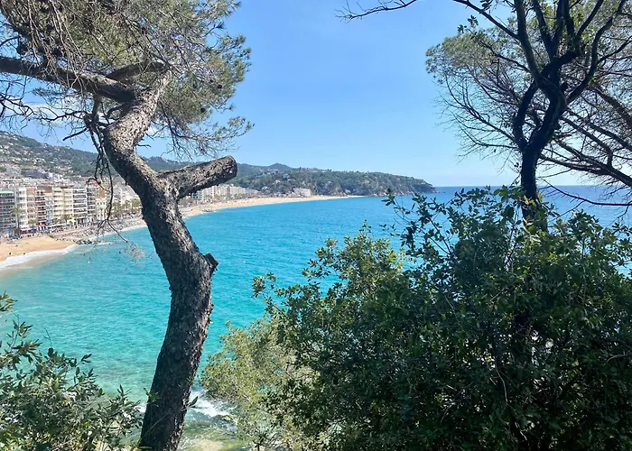 My Alva Park - 50m From The * Lloret de Mar