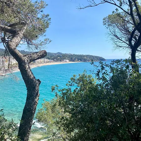 My Alva Park - 50m From The * Lloret de Mar